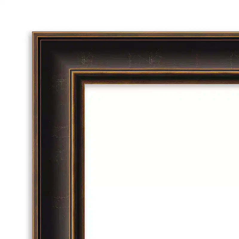 Miroir mural Villa de 24 x 30 po, cadre bronze huilé, aucun assemblage requis - Amanti Art