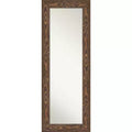 20" x 54" Non-Beveled Bridge Brown Wood on The Door Mirror - Amanti Art