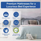 Matelas à mémoire de forme double face Dyonery de 8/10 pouces avec housse en Tencel et thé vert/gel rafraîchissant, CertiPUR-US