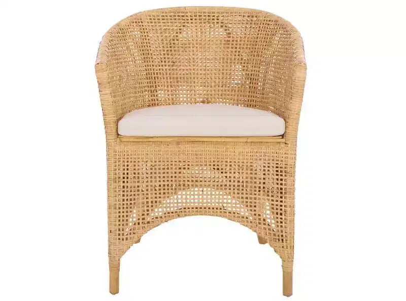 Taina Accent Chair - ACH6534 - Natural/White - Safavieh