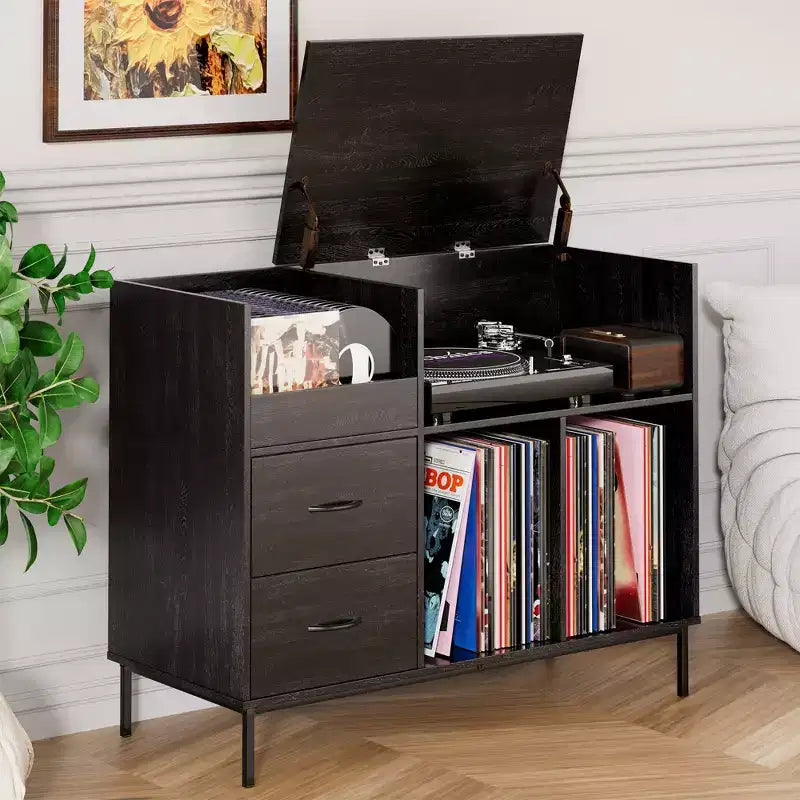 Meuble de rangement pour disques vinyles JVNOXK Eco-Friendly avec prise double, adapté au salon, noir