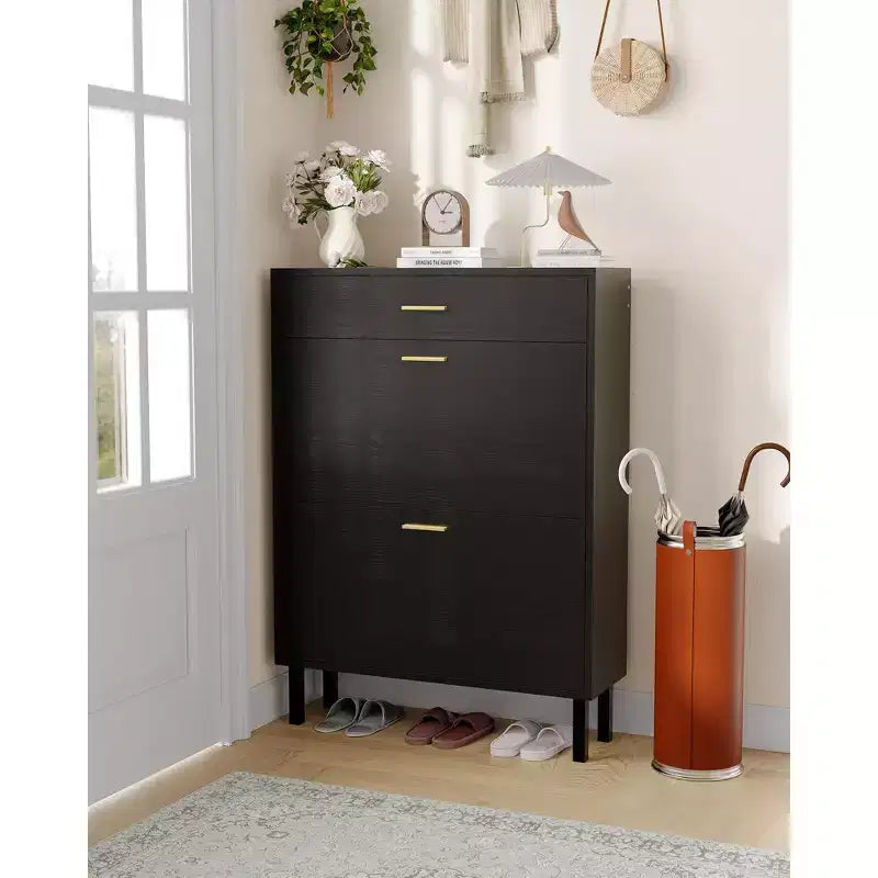 Meuble à chaussures avec double tiroir basculant, organisateur de chaussures peu encombrant pour entrée, couloir ou buanderie, armoire à chaussures dissimulée