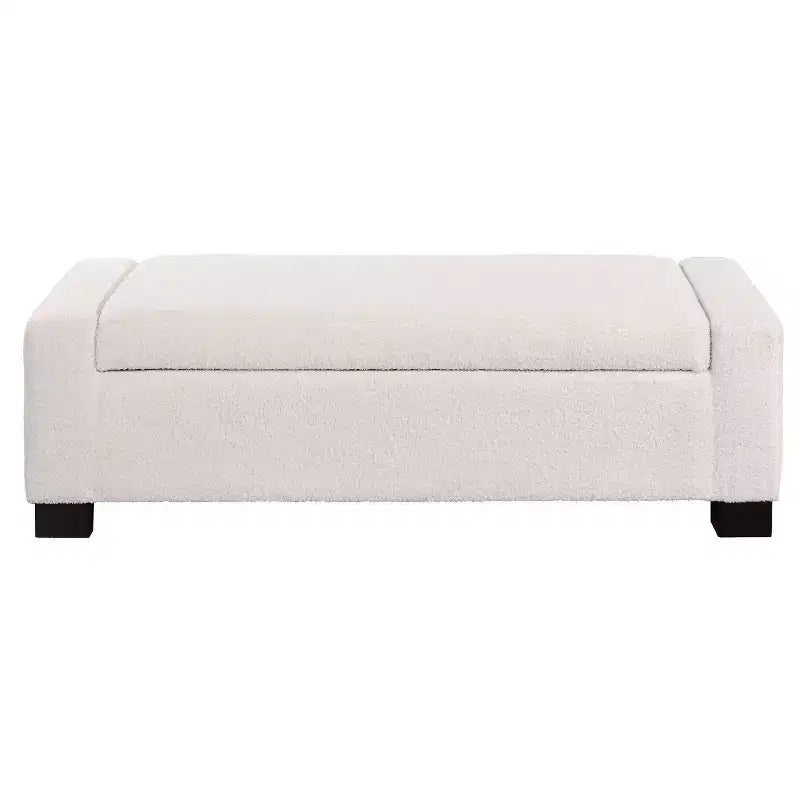 Christopher Knight Home Silas Indoor Upholstered Modern Storage Ottoman Beige