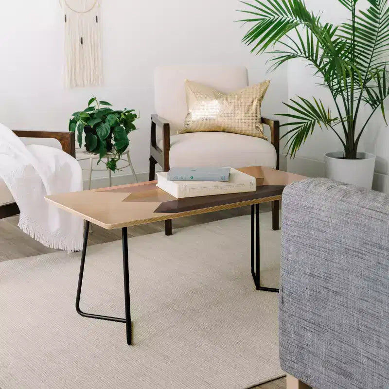 Deny Designs Iveta Abolina Bloc de Couleur Table Basse Noire