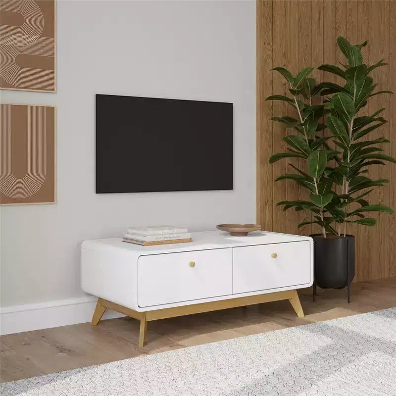 Ren Home Leva Meuble TV Scandinave Courbé 2 Tiroirs, Blanc