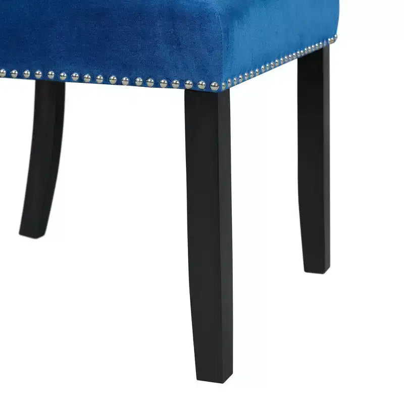 Ensemble de 2 chaises d'appoint en velours Céline - Picket House Furnishings