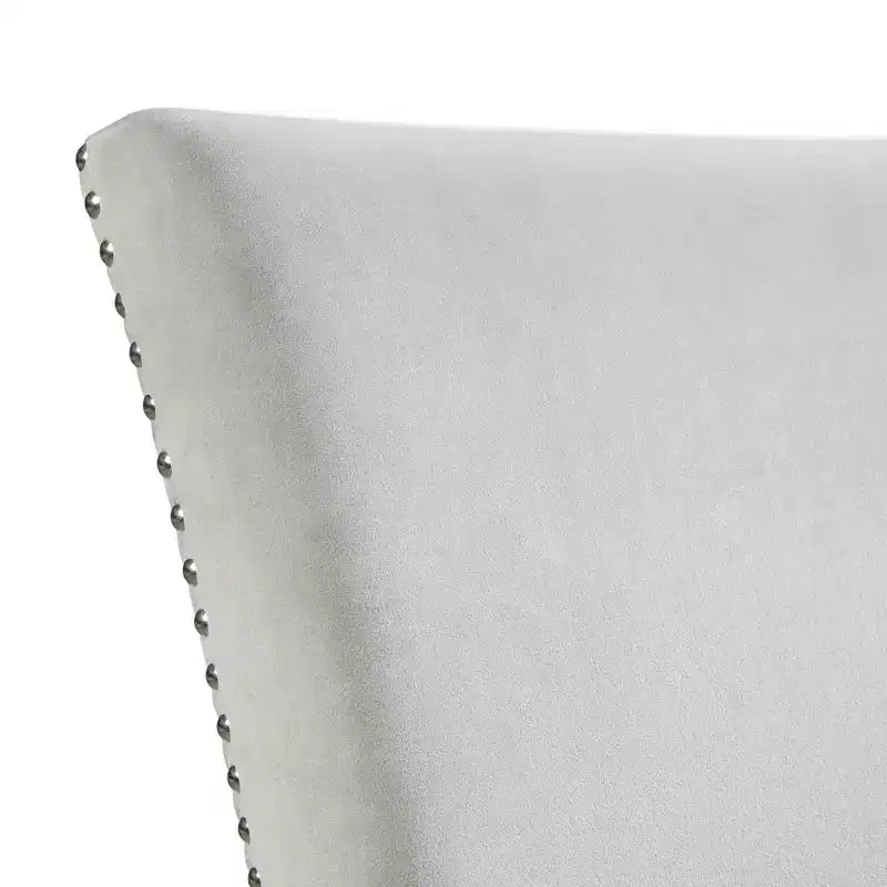 Ensemble de 2 chaises d'appoint en velours Céline - Picket House Furnishings