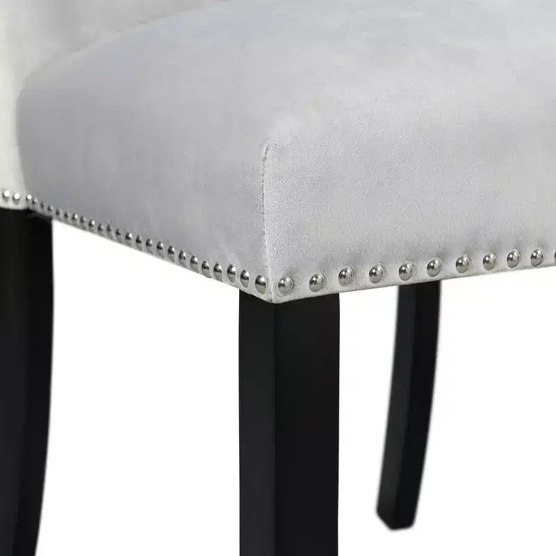 Ensemble de 2 chaises d'appoint en velours Céline - Picket House Furnishings