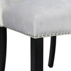 Ensemble de 2 chaises d'appoint en velours Céline - Picket House Furnishings