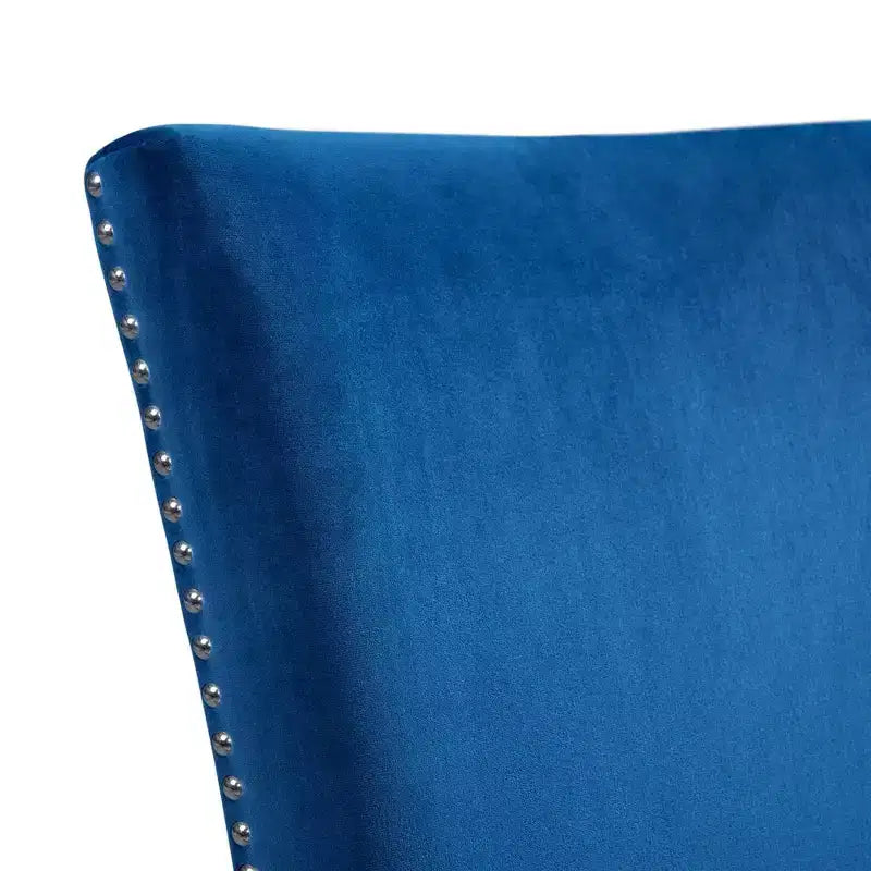 Ensemble de 2 chaises d'appoint en velours Céline - Picket House Furnishings
