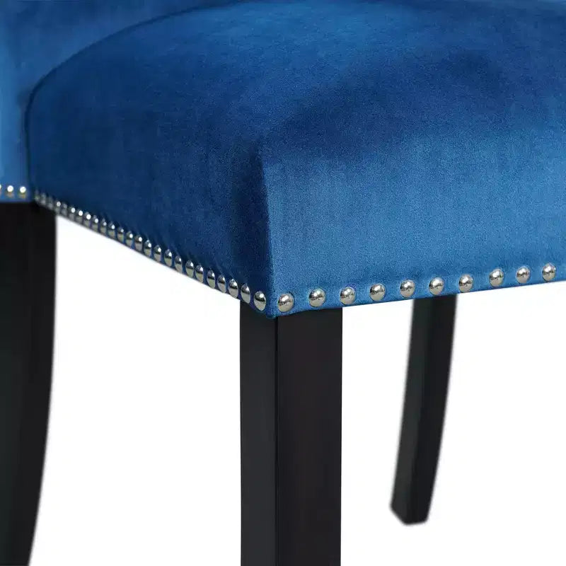 Ensemble de 2 chaises d'appoint en velours Céline - Picket House Furnishings
