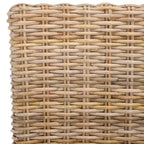 Chaise d'appoint en rotin Pembrooke 19 H (lot de 2) - FOX6520 - Safavieh Couture