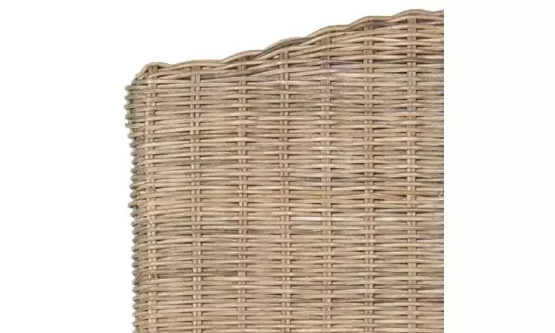 Chaise de salle à manger Odette 19 H en osier (lot de 2) - SEA8015 - Safavieh