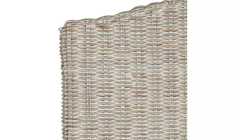Chaise de salle à manger Odette 19 H en osier (lot de 2) - SEA8015 - Safavieh