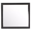 Passion Furniture Marilla 35 in. x 39 in. Modern Rectangle Framed Dresser Mirror