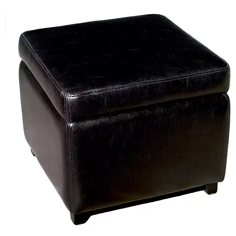 Repose-pieds Cube de Rangement Petit Format Entièrement en Cuir - Baxton Studio