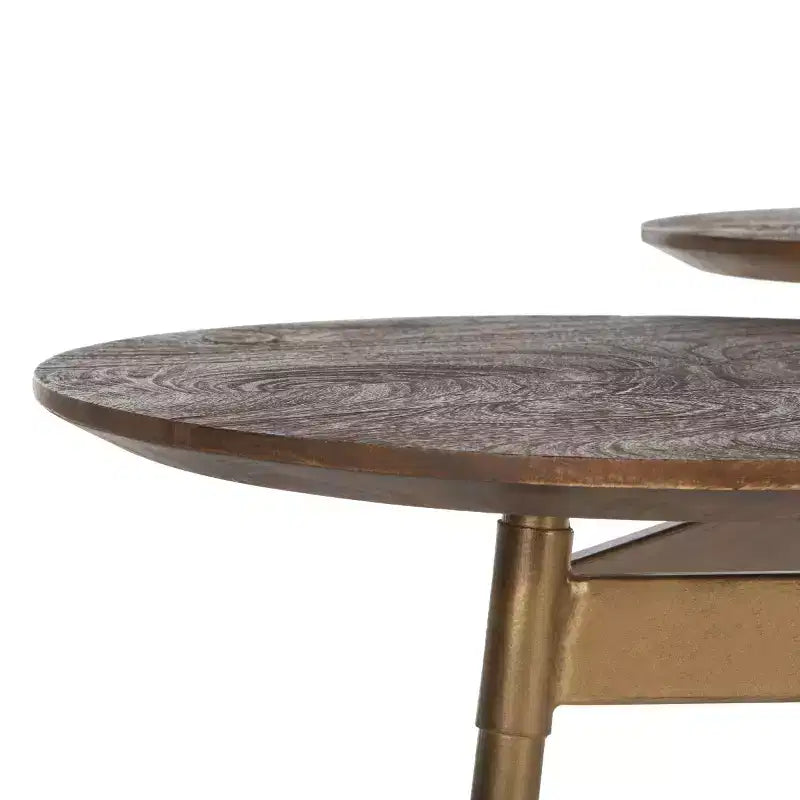 Table d'appoint Ian 3 Circle Accent - ACC3702 - Miel Rustique/Or - Safavieh