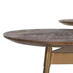 Table d'appoint Ian 3 Circle Accent - ACC3702 - Miel Rustique/Or - Safavieh