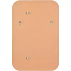 Miroir mural rectangulaire Noble Park Devonshire, moderne, bords biseautés, cadre doré, 71 cm de large, pour salle de bain, chambre, salon