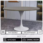 Table moderne LeisureMod Verve du milieu du siècle avec plateau rond de 48 po en MDF et base piédestal en acier blanc pour cuisine et salle à manger, en érable foncé