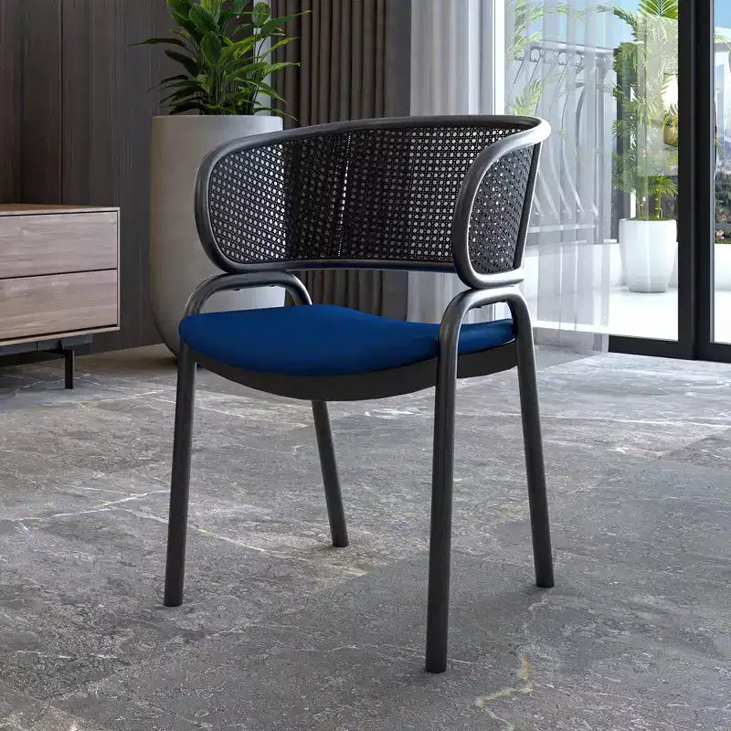 LeisureMod Ervilla Chaise de salle à manger moderne Rembourrée confortable Fauteuil d'appoint avec pieds en fer noir, pour cuisine, salle à manger, café, restaurant