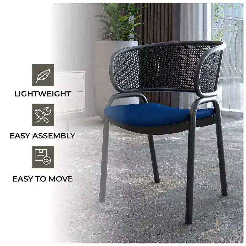 LeisureMod Ervilla Chaise de salle à manger moderne Rembourrée confortable Fauteuil d'appoint avec pieds en fer noir, pour cuisine, salle à manger, café, restaurant