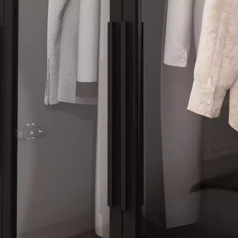 Armoire de présentation Famapy, placard avec porte en verre et lumière LED, armoire penderie noire