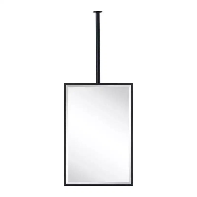 Miroir de salle de bain rectangulaire mural TEHOME Seren 20 po L x 30 po H avec cadre en métal noir mat