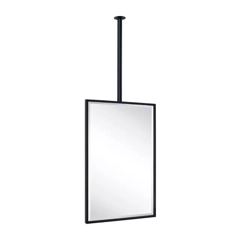 Miroir de salle de bain rectangulaire mural TEHOME Seren 20 po L x 30 po H avec cadre en métal noir mat