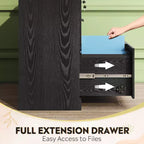 Meuble de rangement latéral en bois DEXYLLO à 2 tiroirs avec serrure, classeur pour le bureau et la maison, support d'imprimante avec mécanisme anti-basculement